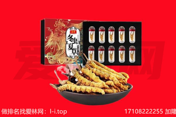 攀枝花米易县回收虫草.jpg